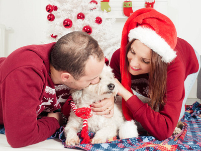 幸福的夫妇与狗, 都穿着圣诞衣服坐在圣诞树附近