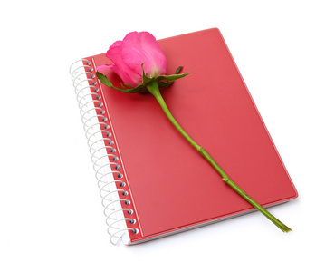 白色背景上的粉红玫瑰和红色笔记本