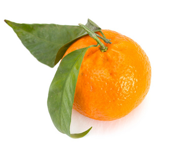 白色背景上的橘柑橘类水果