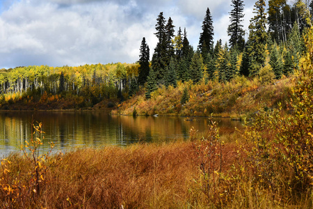 一幅色彩鲜艳的秋叶映在平静的湖面上