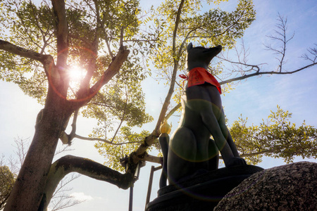 2018年5月19日, 日本, 京都 伏见伊纳里的狐狸雕像, 有太阳的大树和在蓝天背景上的透镜耀斑