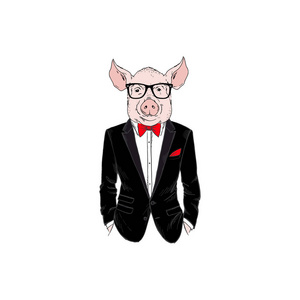 猪人身着燕尾服, 拟人化动物插画