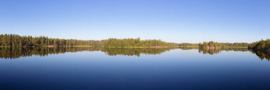夏日宁静的森林湖泊全景