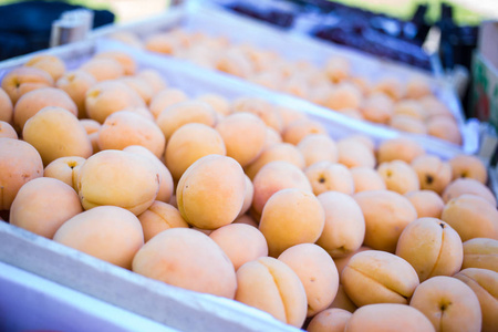 杏盒, 水果蔬菜销售商柜台, 农贸市场