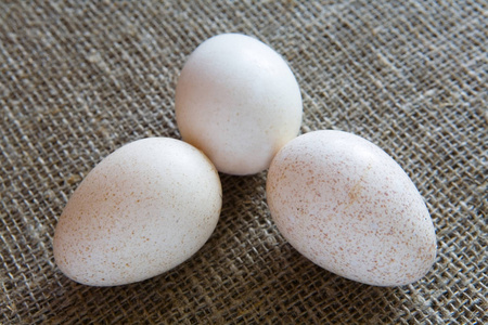 三只火鸡的卵在质感的布料上。食品