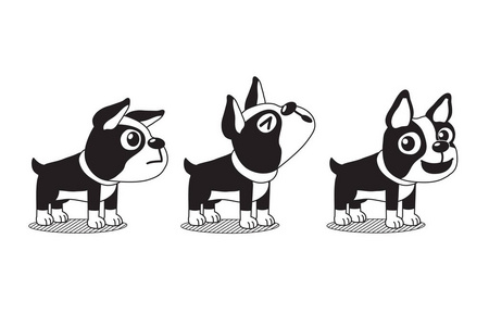 矢量卡通人物可爱的波士顿梗犬设计