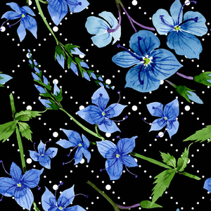 水彩蓝色维罗妮卡花。花卉植物花卉。无缝的背景模式
