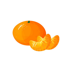 卡通新鲜橘子或柑橘果实