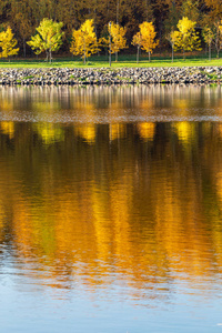 五颜六色的秋天。沿河岸的胡同在秋季公园的背景。森林和蓝天的水中倒影