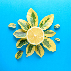 创意夏季图案由柠檬和绿叶在蓝色背景。水果最小的概念