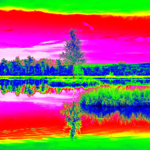 中间的小岛沼泽的高山湖泊。天空中的水位，奇怪的颜色的热成像照片镜子。大石头和树木的阴影水位