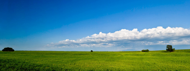 夏天全景