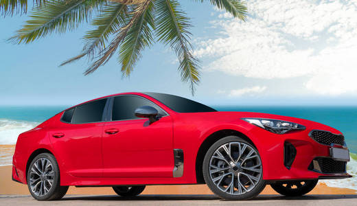 红色汽车的背景棕榈树。时尚, 现代, 明亮的汽车形象设计解决方案