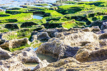 石灰石岩石池, 宾因纳, 巴厘岛, 印度尼西亚