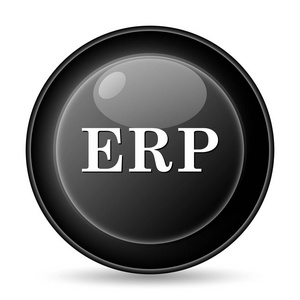 Erp 图标。白色背景上的互联网按钮