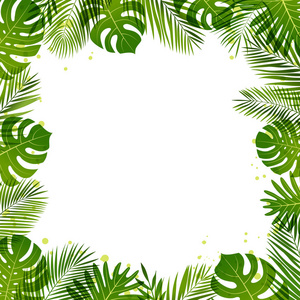 夏季棕榈叶的框架。热带植物。矢量插图