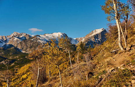 美国科罗拉多州洛基山国家公园秋白杨林风景如画的景色