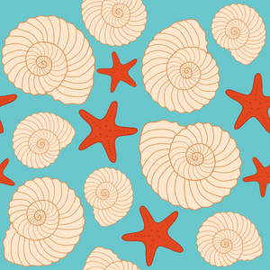贝壳和星鱼模式