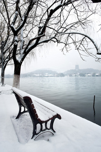 雪，杭州，中国西部湖和雷锋塔