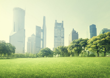 公园位于陆家嘴金融中心，上海，中国