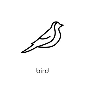 鸟图标。时尚现代平线性向量鸟图标在白色背景从细线动物汇集, 可编辑的概述冲程向量例证