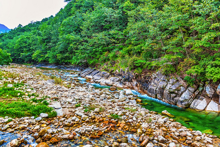 在韩国山林河