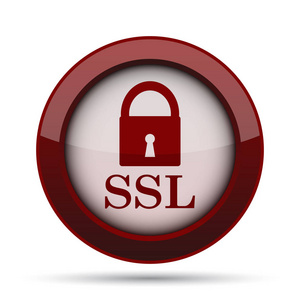 Ssl 图标。白色背景上的互联网按钮