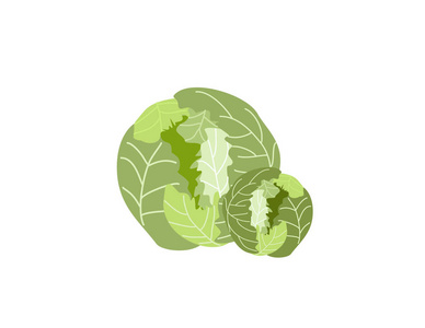 在白色背景查出的二个绿色卷心菜