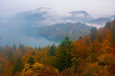 令人惊异的观布莱德湖雾秋天的早晨，彩林在前景和背景，斯洛文尼亚乌云笼罩的山