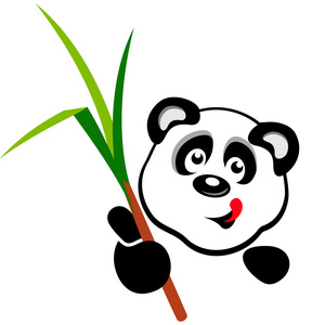熊猫与竹科