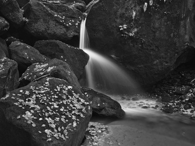 梯级小山间溪流，水运行在长满苔藓的砂岩石块和气泡在乳白色水位上创建。在石头上和水里的落叶。黑白照片
