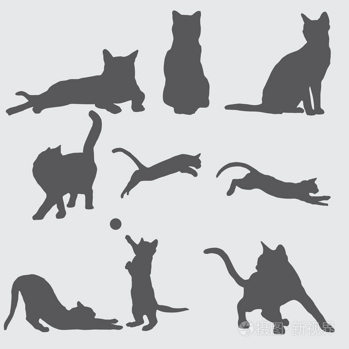 9 只猫剪影
