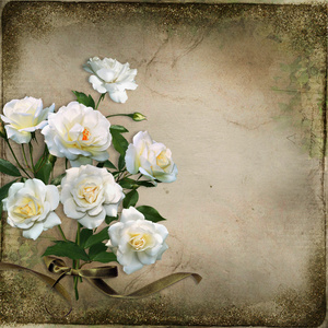 与白玫瑰的美丽复古背景