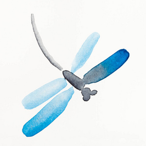 在白纸上的相扑风格的手绘由水彩画绘制的蓝色翅膀的蜻蜓