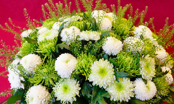 白菊花鲜花花束