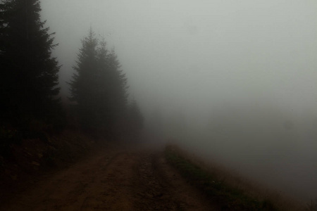 清晨, 通往迷雾的道路几乎没有什么可看的了。