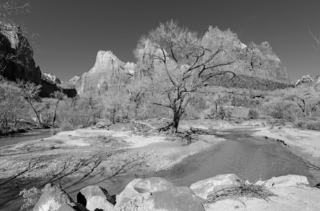 黑色和白色景观锡安国家公园