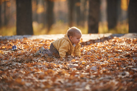 在阳光明媚的日子里, 在秋天的公园里, 小男孩在落叶中爬行