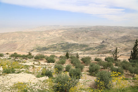 沙漠山风景 从尼波山鸟瞰图，Jordan 中东地区