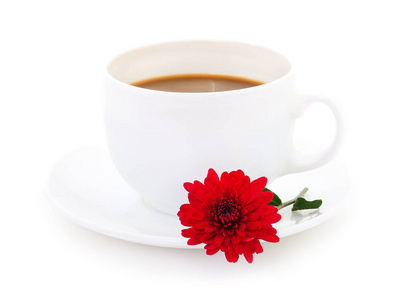 白杯咖啡与美丽的菊花花在一个光的背景