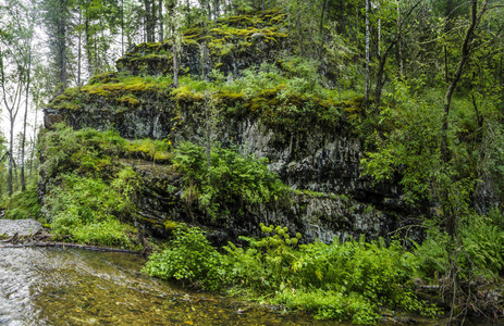 全景和风景秀丽的山溪与岩石, 秀丽和雄伟在狂放的森林自然。阿尔泰, 西伯利亚, 俄罗斯。天是轻的夏天