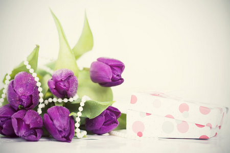 紫色郁金香和礼品盒