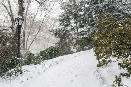 暴风雪在中央公园