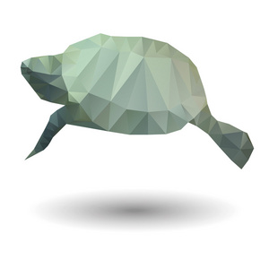 海龟在白色背景上的折纸样式的抽象插图