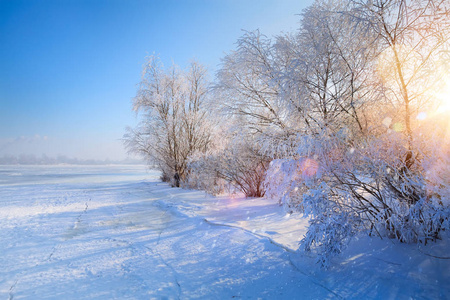 冬季景观与冰冻湖泊和雪树图片