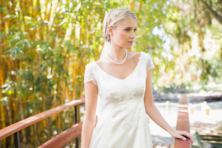 金发碧眼的新娘，在珍珠项链站在一座桥上的内容