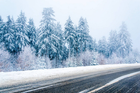 神奇的冬季景观 道路和积雪覆盖的树木