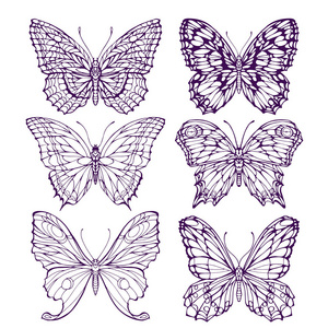 蝴蝶和飞蛾设置轮廓隔离着色页手绘矢量插图
