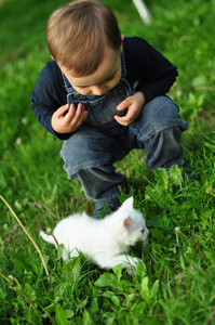 可爱的男孩和一只白色的猫
