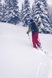 探险家在穿雪鞋的大松树中漫步。史诗般的冬季旅行在山上。后退视图